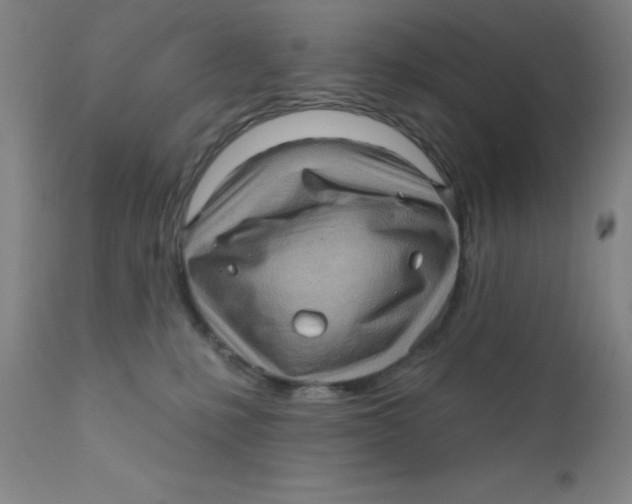 X0000112160231200909041134