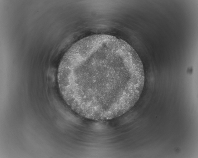 X0000112160232200909041134