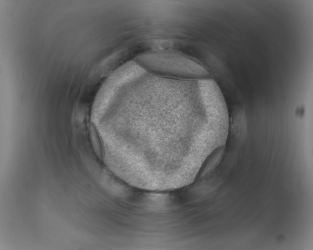 X0000112160233200909041134