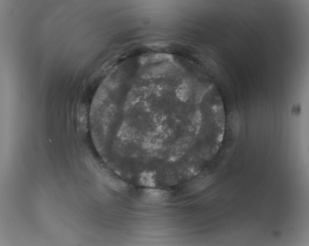 X0000112160234200909041134