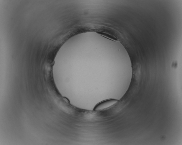 X0000112160235200909041134