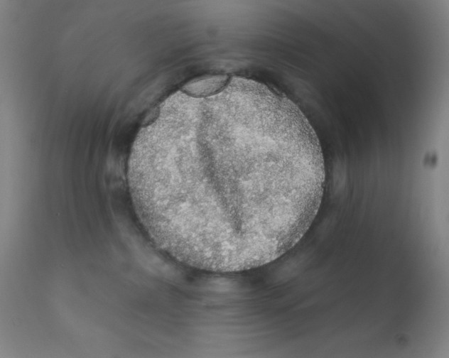 X0000112160236200909041134