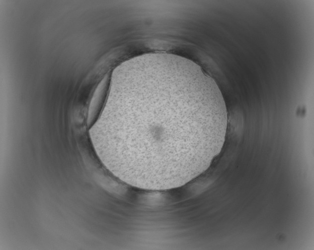X0000112160237200909041134