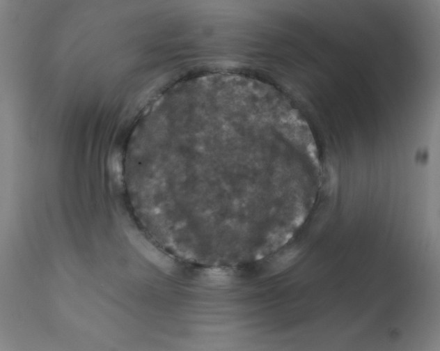 X0000112160238200909041134
