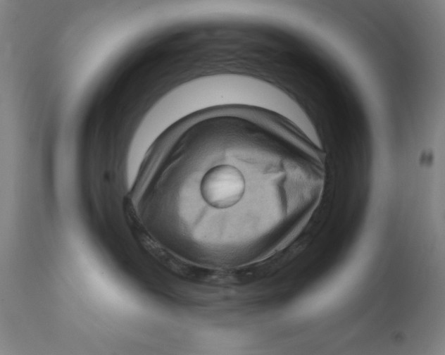 X0000112160239200909041134