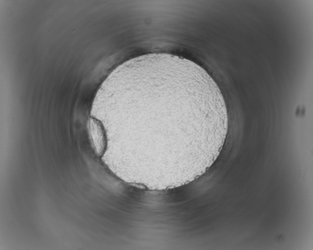 X0000112160240200909041134