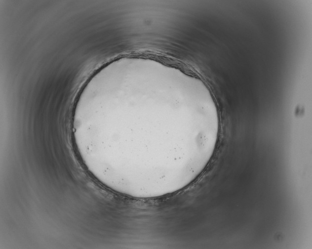 X0000112160241200909041133