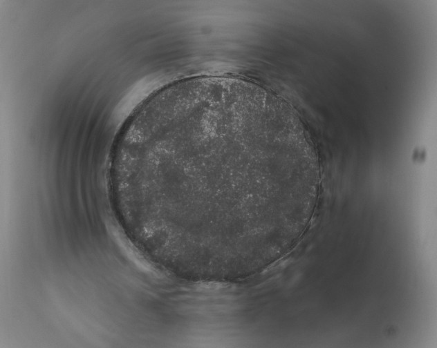 X0000112160242200909041133