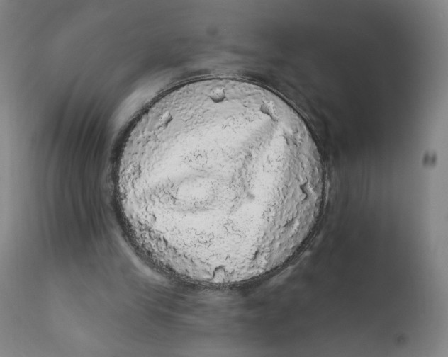 X0000112160245200909041133
