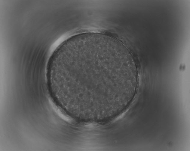 X0000112160246200909041133