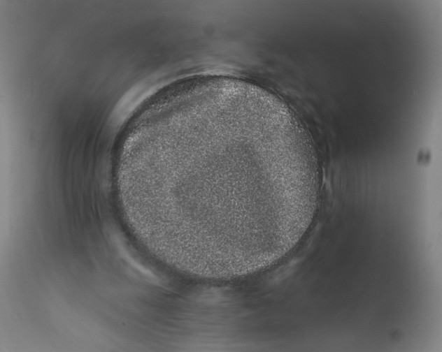 X0000112160247200909041133