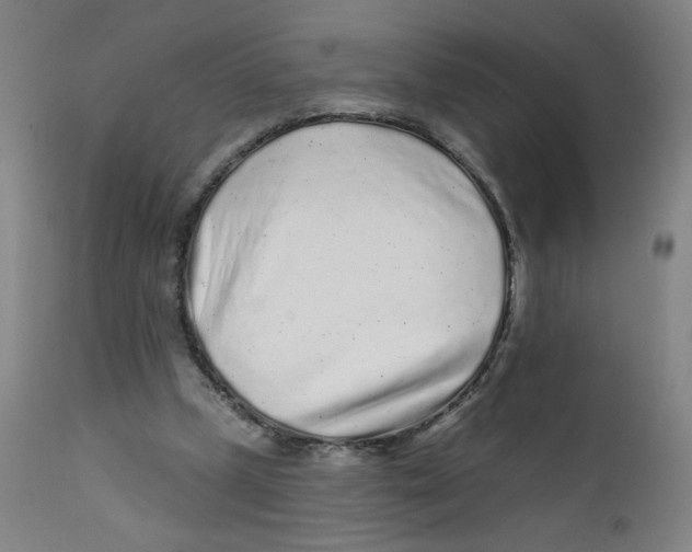 X0000112160249200909041133