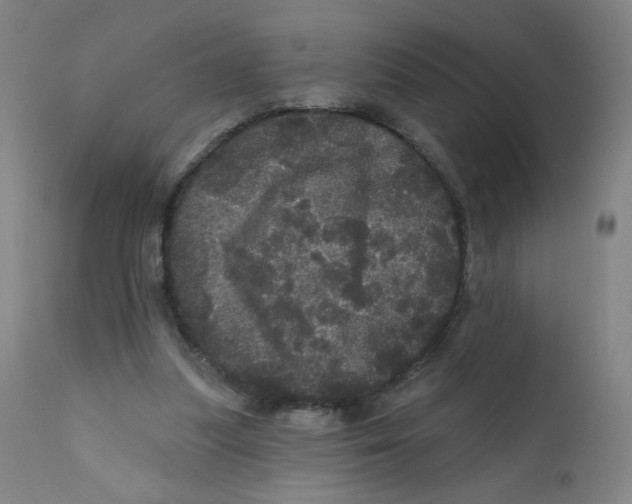 X0000112160251200909041133