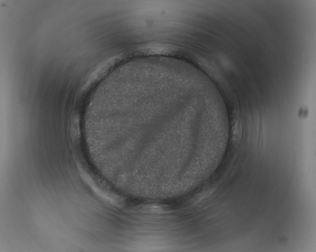 X0000112160254200909041133