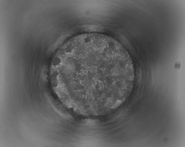 X0000112160255200909041133