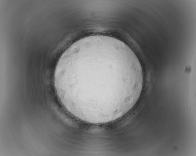X0000112160257200909041133