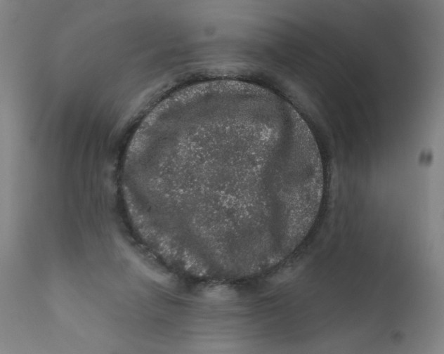 X0000112160258200909041133