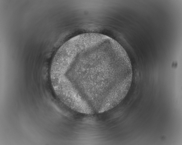 X0000112160259200909041133