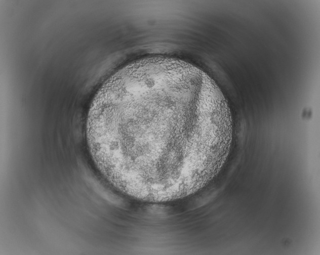 X0000112160261200909041133