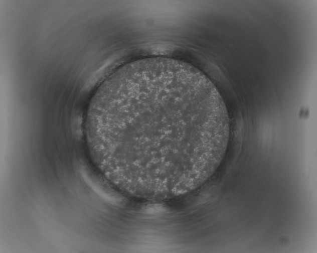 X0000112160262200909041133