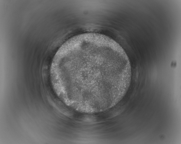 X0000112160263200909041133