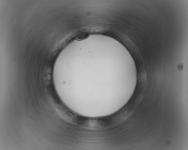 X0000112160264200909041133