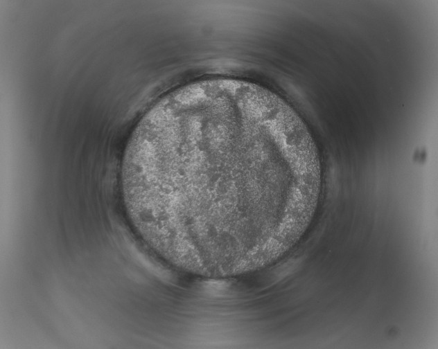X0000112160265200909041133