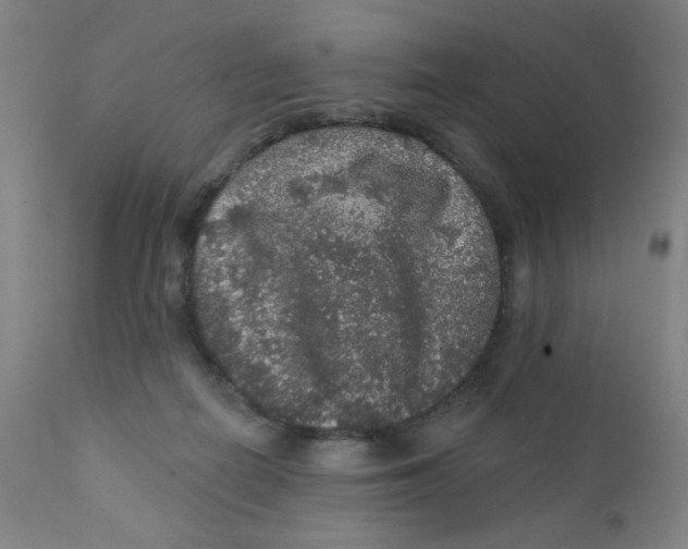 X0000112160266200909041133