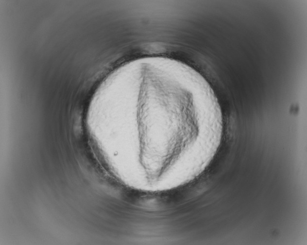 X0000112160267200909041133