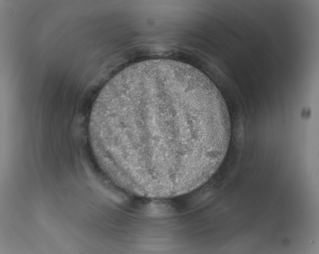 X0000112160270200909041133