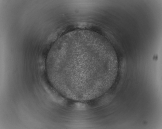 X0000112160272200909041133