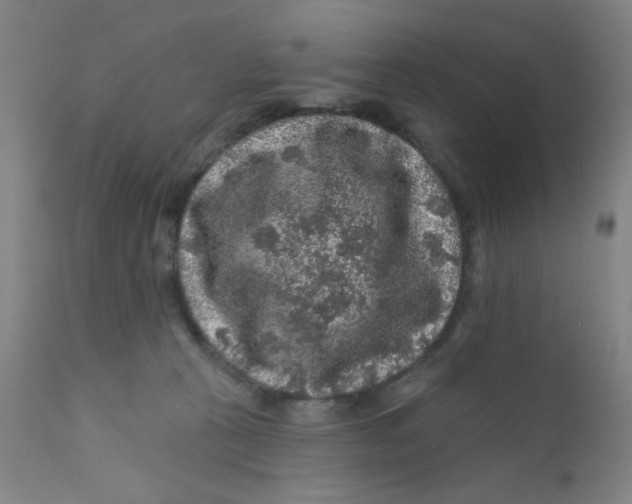 X0000112160273200909041133