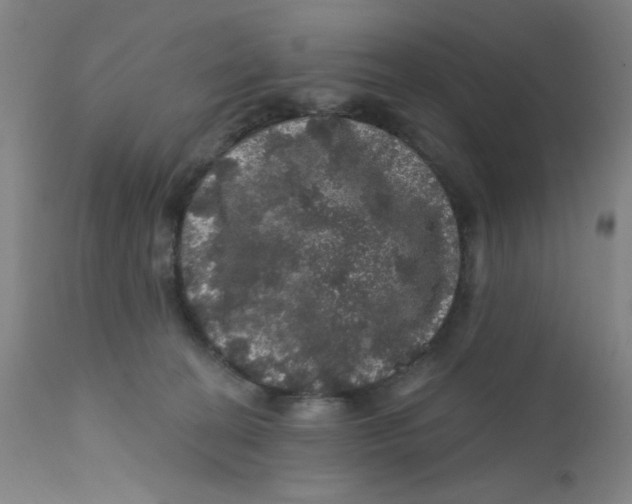 X0000112160274200909041134