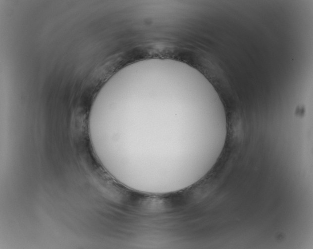X0000112160276200909041134