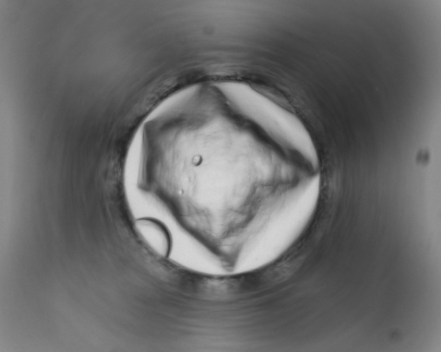 X0000112160277200909041134