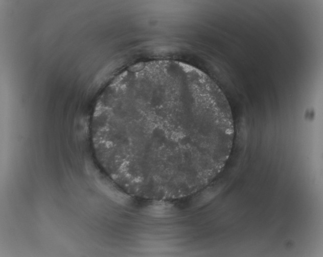X0000112160278200909041134