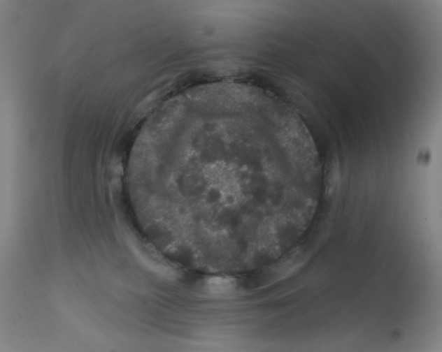 X0000112160279200909041134
