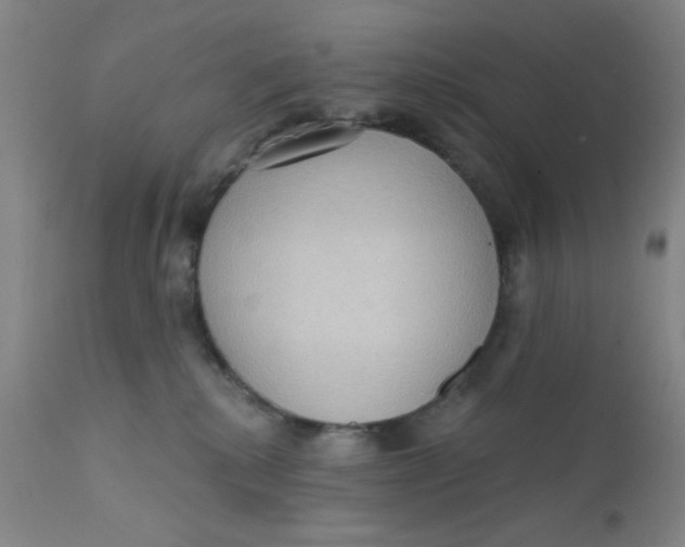 X0000112160280200909041134