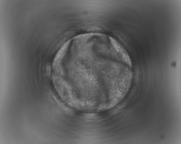 X0000112160281200909041134