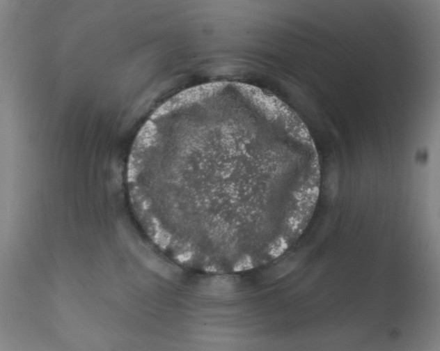 X0000112160282200909041134