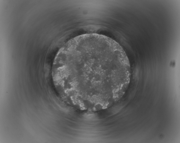 X0000112160283200909041134