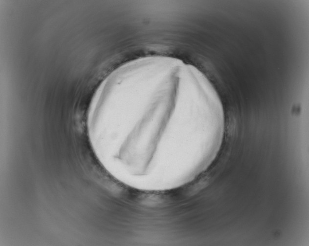 X0000112160285200909041134