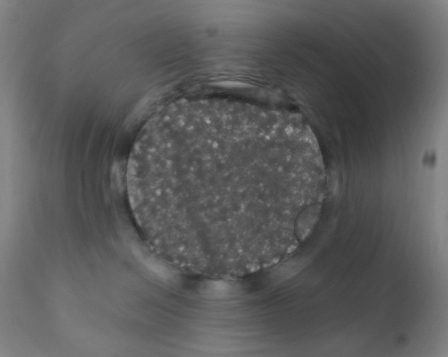 X0000112160286200909041134