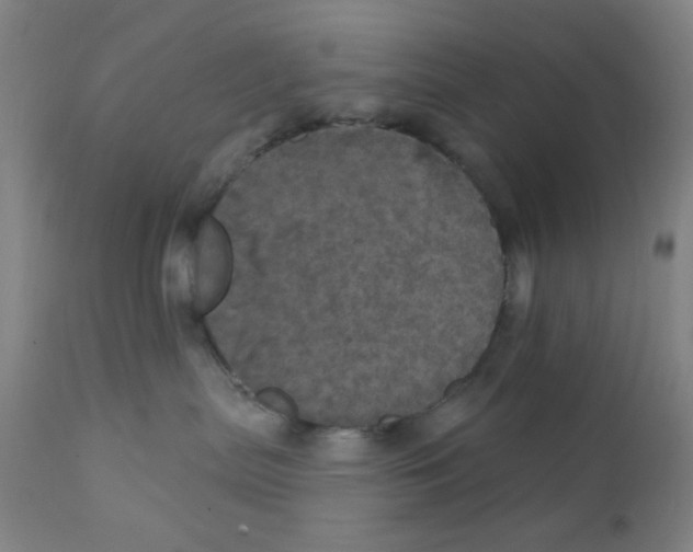 X0000112160287200909041134