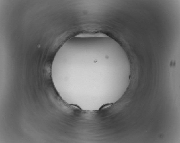 X0000112160288200909041134