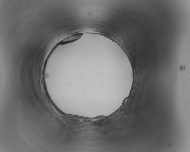 X0000112160289200909041133