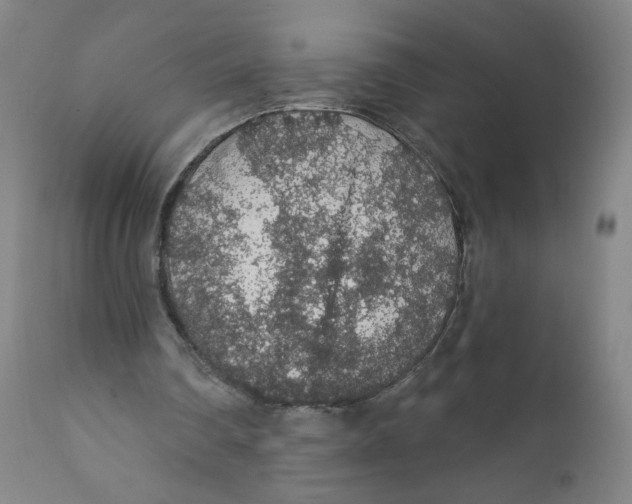 X0000112160290200909041133