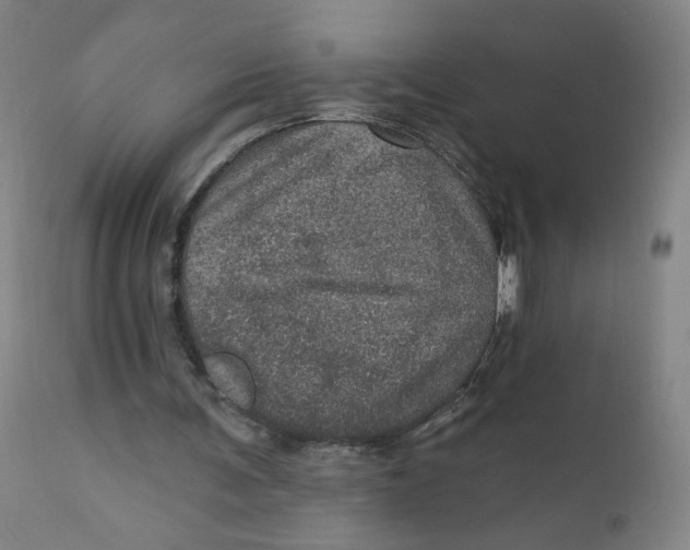 X0000112160291200909041133