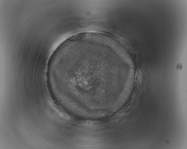 X0000112160292200909041133