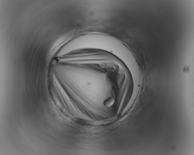 X0000112160293200909041133